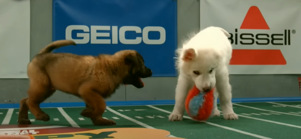 Puppy Bowl 2024