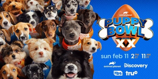 Puppy Bowl 2024