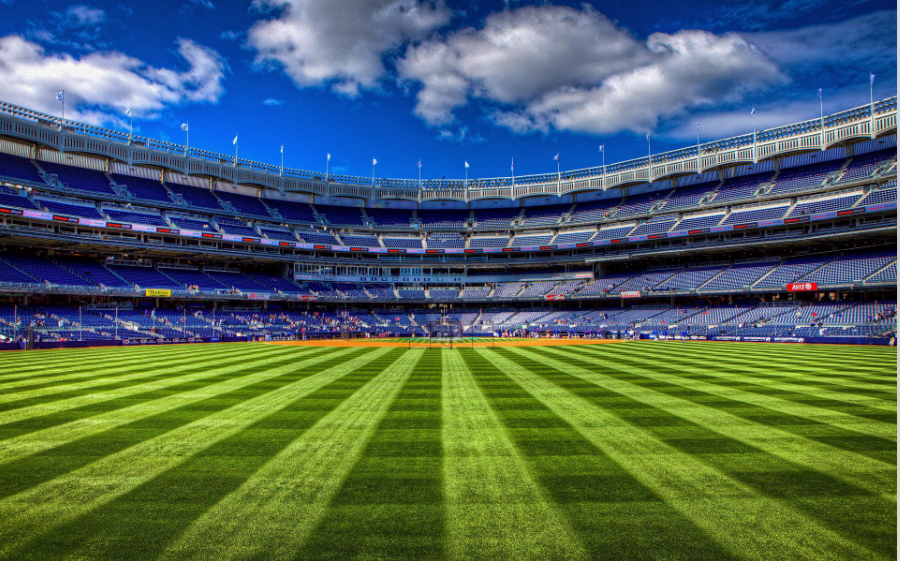 Professional Soccer Field