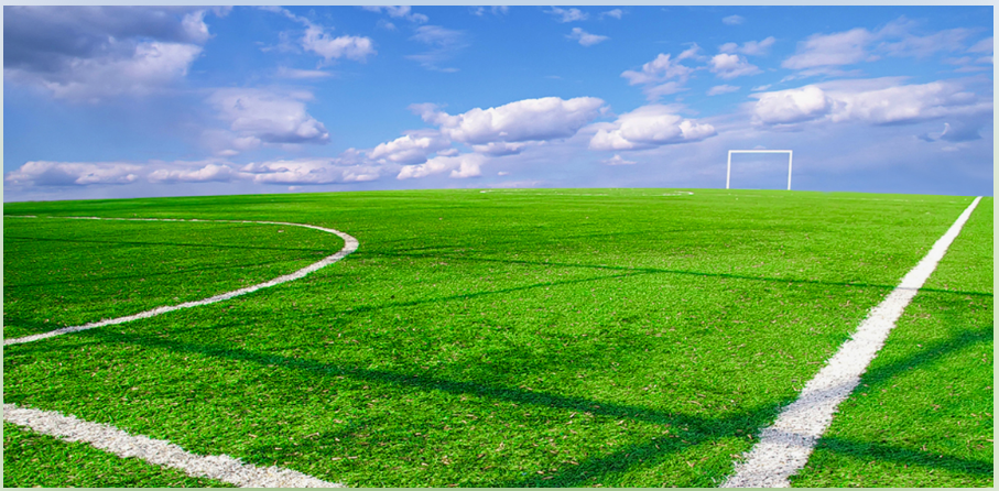 Soccer Field Lines