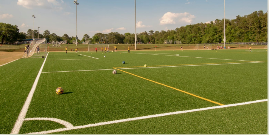 Soccer Field Lines