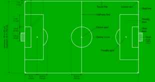 Professional Soccer Field Size