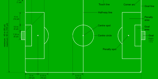 Professional Soccer Field Size